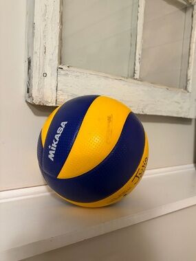 Mikasa Yellow and Blue Volleyball